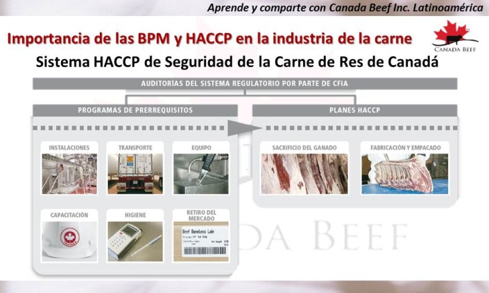 Bpm Y Haccp 14 Canadian Beef