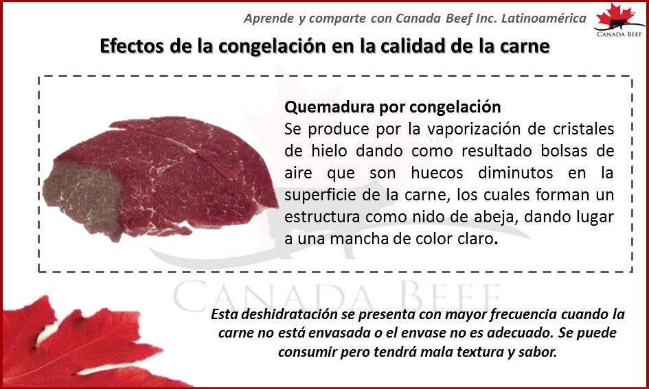 Doméstico ampliar Nota efectos-de-la-congelacion-9 - Canadian Beef