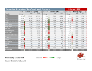 thumbnail of Beef-and-Veal-Exports-YTD-Feb-2021-CB-