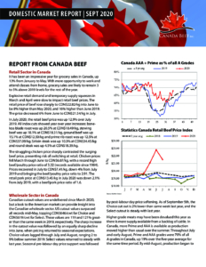 thumbnail of CB-reporte de mercado-Q3-2020