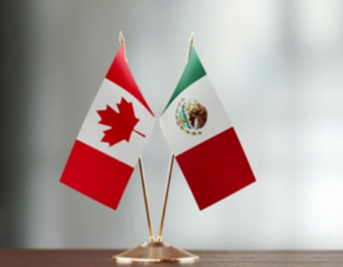 Embajadores de Marca