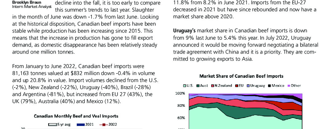 thumbnail of CB-Export-Report-June-2022-YTD