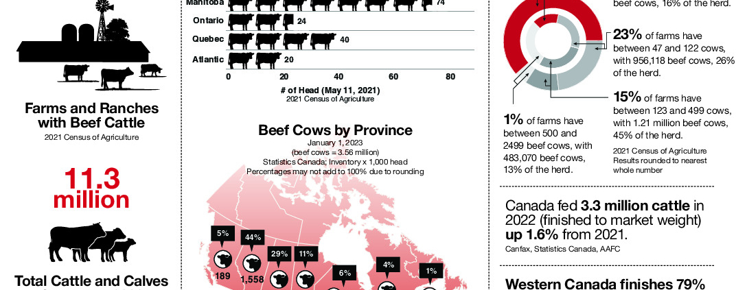thumbnail of RS12691_CBEEF-fast-fact-sheet-2023-ENG-F