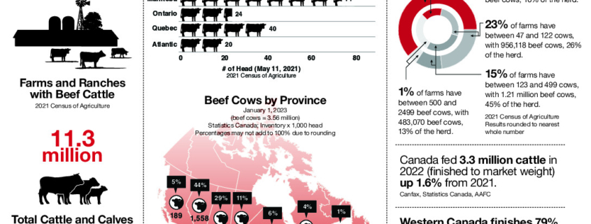 thumbnail of RS12691_CBEEF-fast-fact-sheet-2023-ENG-F
