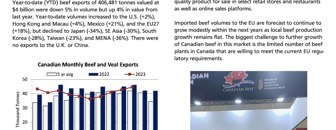 thumbnail of informe de comercio carne de res octubre