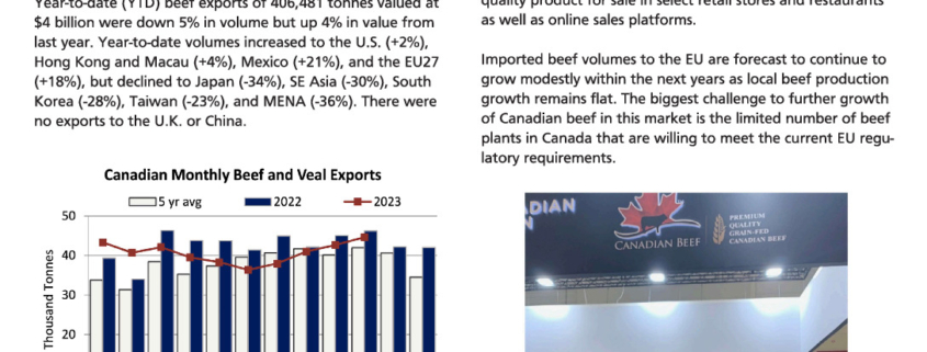 thumbnail of informe de comercio carne de res octubre