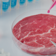 Proteínas de laboratorio: ¿qué posturas mantienen los diferentes países de la UE?