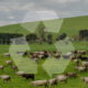 Ganadería Sostenible: Estrategias para Mitigar las Emisiones de Gases de Efecto Invernadero y Combatir el Cambio Climático vacas caminando en un pradera verde von algunos arboles. el symbolode de reciclaje en frente de la imagen con tono translucido