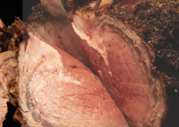 Prime Rib "Nacho" al Horno