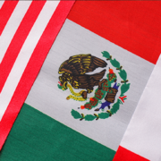 T-MEC y el sector cárnico mexicano