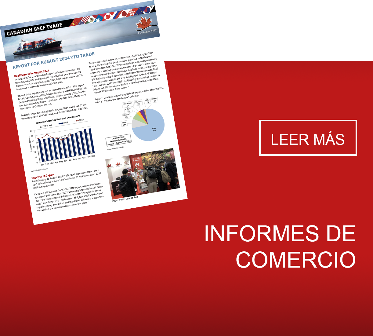 Informes Comercio Report