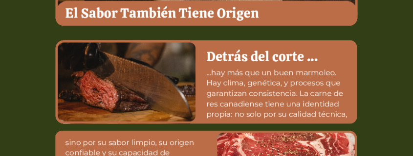 thumbnail of The Insider, Canadian Beef Newsletter – JAN 2025