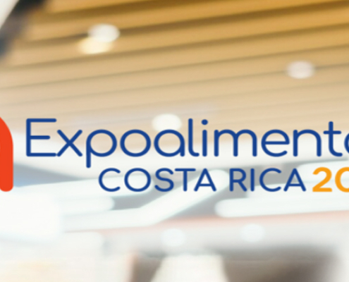 El Éxito del Comercio Electrónico en la Industria de los Alimentos