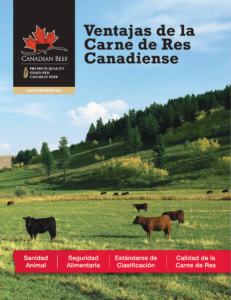 ventajas de la carne de res foto