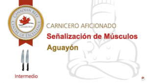 Carnicero Aficionado Aguayón Señalización de Músculos