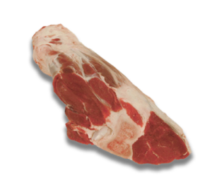 Foreshank