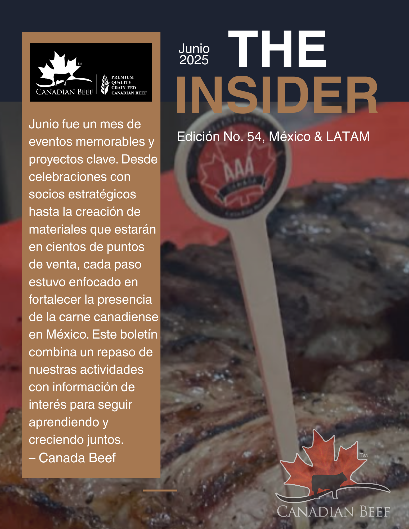 The Insider Junio 2025