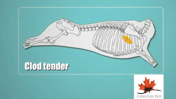 Teres Major