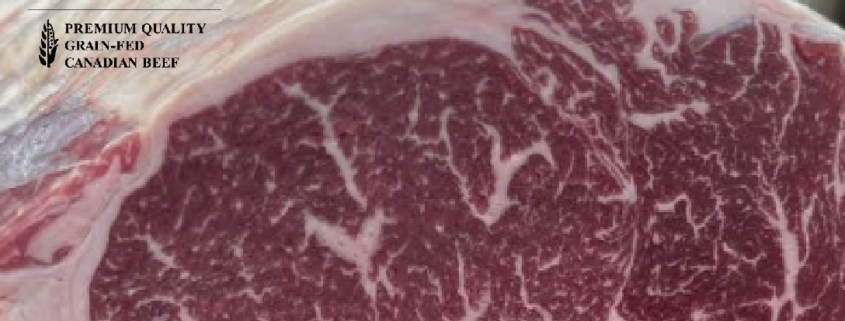 thumbnail of The Insider, Canadian Beef Newsletter Nov 2025